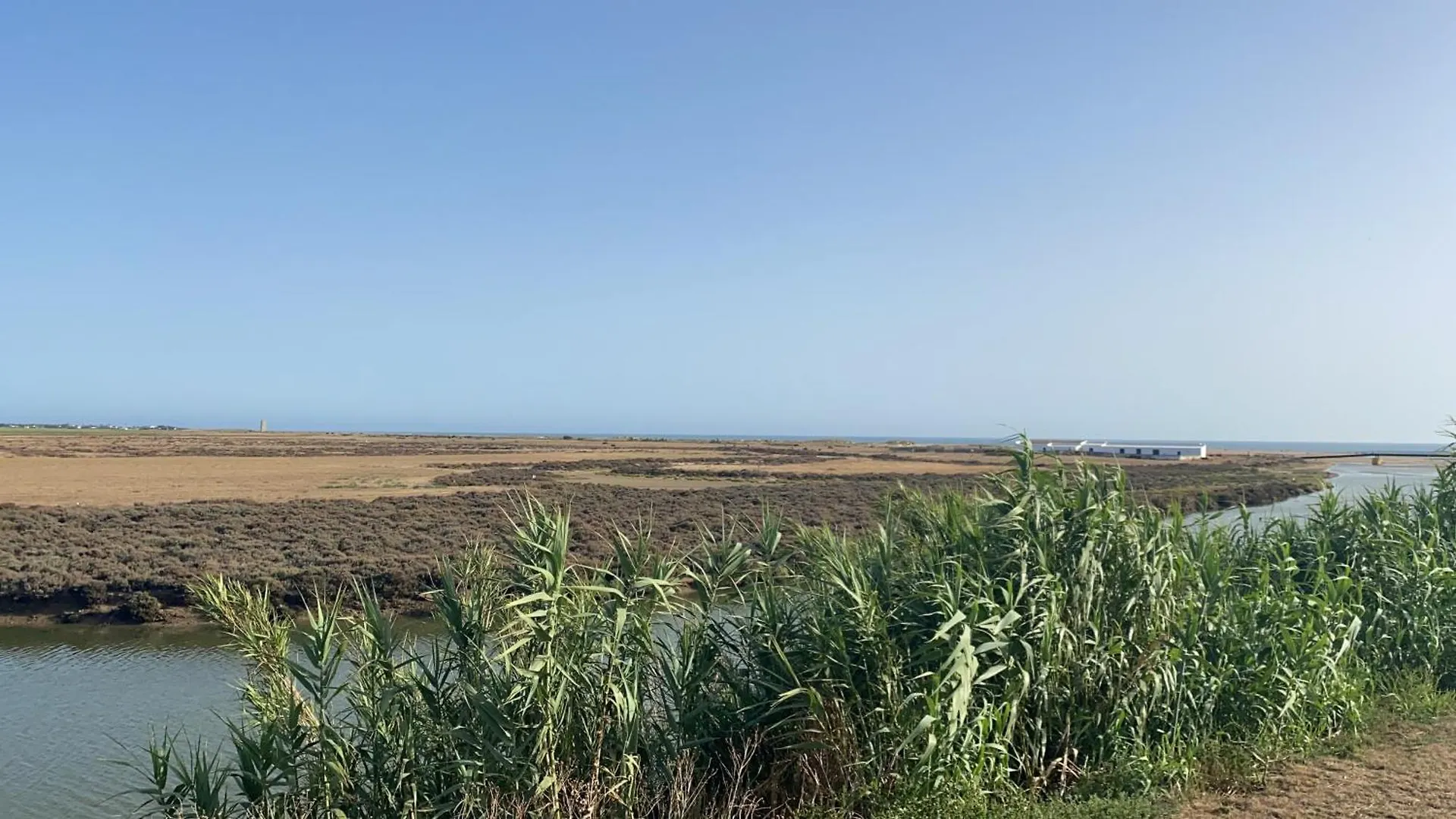 Villa Casa Hijiflor à Conil De La Frontera Espagne